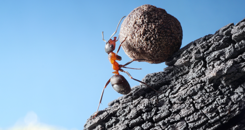 Do You Know The Real Value Of Hard Work